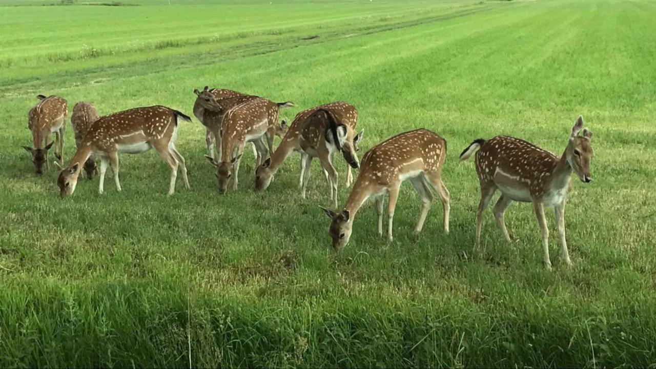 Oosterwolde  Mooiverblijf المظهر الخارجي الصورة